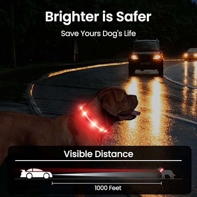 MASBRILL Light Up Dog Collar - RGB LED, Rechargeable, Water-Resistant Glow Up Night Walking Collar for Small to Large Dogs