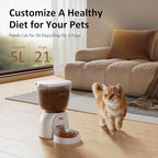 5L Automatic Cat Feeder, Timed Cat Food Dispenser, Automatic Pet Feeders Up to 6 Meal 1-20 Portion, Dual Power Supply Cats Feeder, Pet Dry Food Dispenser for Cats and Small Dogs