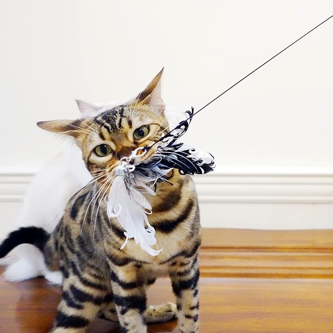 TTcat Cat Wand Toys,Interactive Bird Simulation Toy Set,Fishing Pole,35'' Flexible Steel Wire and 4Pcs Feather Refills,Teaser Toys for Indoor Cat and Kitten.