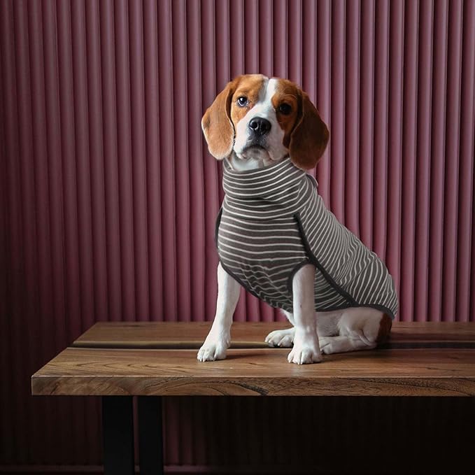 ROZKITCH Dog Winter Coat Soft Pullover Pajamas, Pet Windproof Warm Cold Weather Jacket Vest Cozy Jumpsuit Apparel Outfit Clothes for Small, Medium, Large Dogs Walking Hiking Travel Sleep Stripe L
