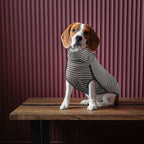 ROZKITCH Dog Winter Coat Soft Pullover Pajamas, Pet Windproof Warm Cold Weather Jacket Vest Cozy Jumpsuit Apparel Outfit Clothes for Small, Medium, Large Dogs Walking Hiking Travel Sleep Stripe XL