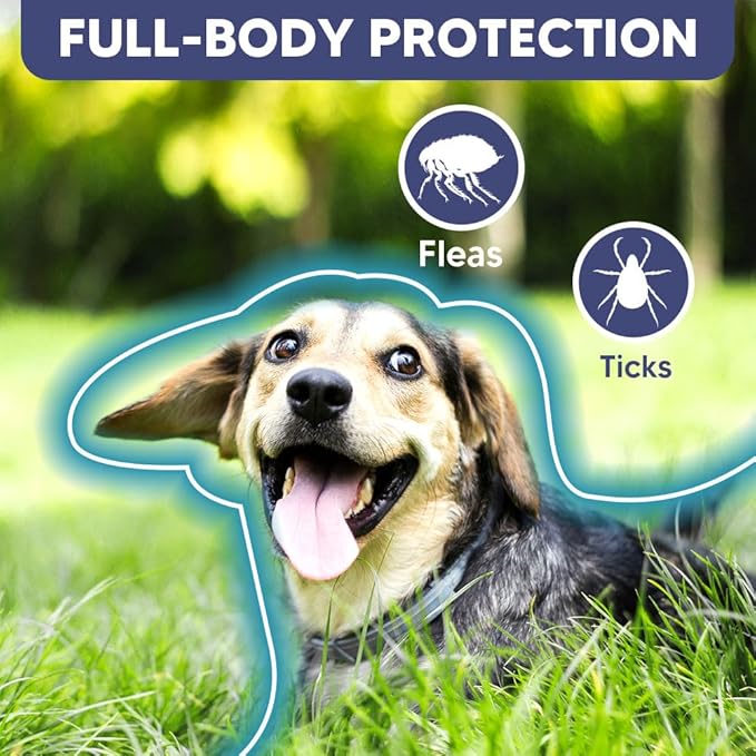 Flea Collar for Dogs, Tick Collar for Larger Dogs, Dog Flea Collars,8 Months Protection,Plant-Based Ingredients,Comfortable Dog Flea Collars – Perfect for Sleep, Play, Walks & Water Fun-2P