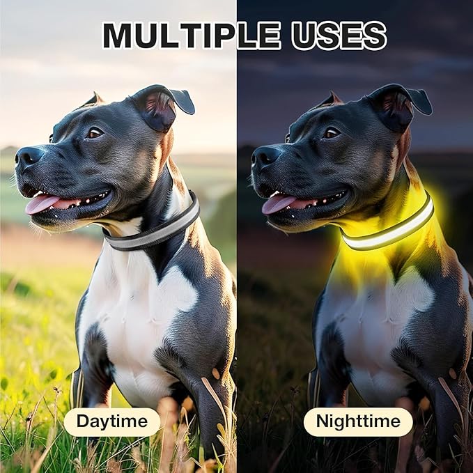 Pceotllar Light Up Collar - Rechargeable Led Dog Collar with Automatic 7-Color Changes, Water Resistant, Bright Glow for Night Walking (Black, M)