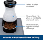 PetSafe Healthy Pet Food Station - Automatic Indoor Gravity Cat & Dog Feeder - Space-Saving Self Feeder - Easy to Clean - Small - Up to 2 lb Kibble Capacity