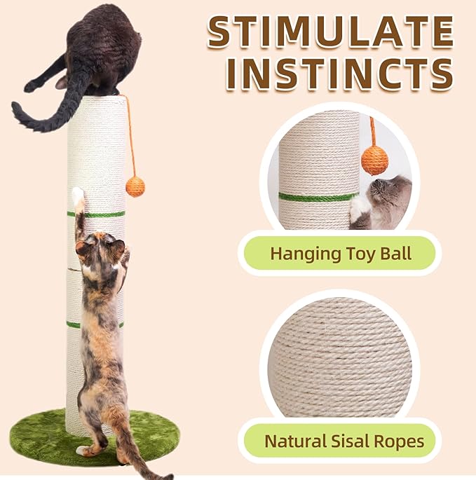 Nekosan Cat Scratching Post, 32 Inch Tall Scratching Post for Indoor Cats, 5.5 Inch Large Sisal Cat Scratcher Post, Cute Cat Scratcher with Interactive Cat Ball Toy, Protect Your Furniture, Beige