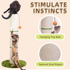 Nekosan Cat Scratching Post, 32 Inch Tall Scratching Post for Indoor Cats, 5.5 Inch Large Sisal Cat Scratcher Post, Cute Cat Scratcher with Interactive Cat Ball Toy, Protect Your Furniture, Beige