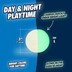 Chuckit! Glow in the Dark Bouncy Ball for Dogs, Chuckit Dog Toy, Max Glow Balls - Large, 3 Inch, Pack of 1