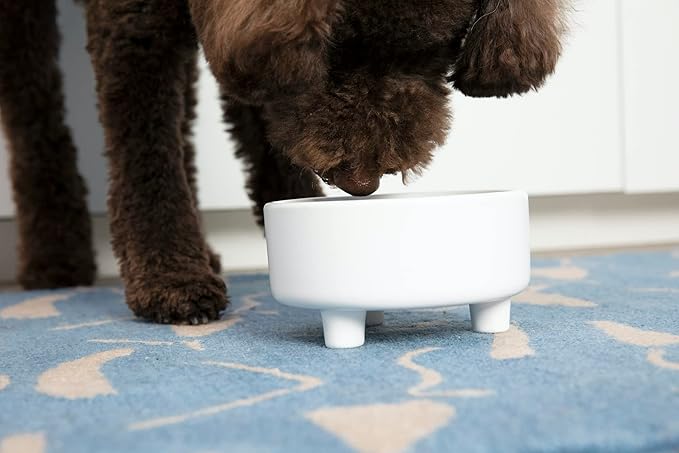 Waggo Uplift Ceramic Dog Bowl for Small Medium and Large Breeds - Heavyweight and Durable Pet Food and Water Dish Crock, Dishwasher Safe, Modern, Elevated Feeder (Black, Medium)