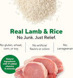 Dave's Pet Food Bland Dog Food (Lamb & Rice), Canned Wet Dog Food for Sensitive Stomachs, Gluten-Free, Digestive Care, 13.2 oz (Case of 12)