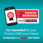 Purina ONE High Protein, Natural Dry Kitten Food, +Plus Healthy Kitten Formula - 7 lb. Bag