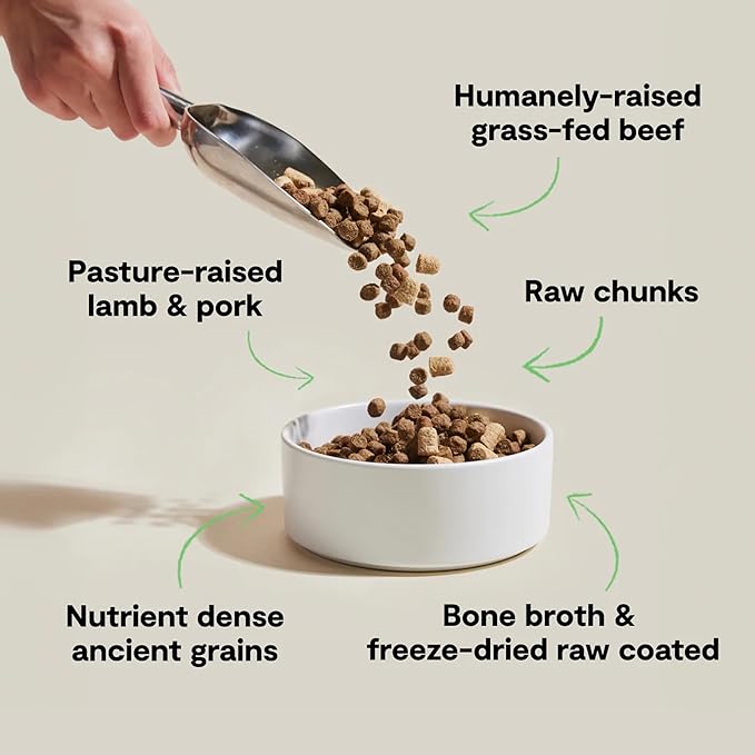 Open Farm, RawMix Dry Dog Food with Ancient Grains, Protein-Packed Kibble Coated in Bone Broth with Freeze Dried Raw Chunks, Beef Pork & Lamb, Front Range Recipe, 20lb Bag