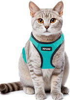 Cat Harness Escape Proof with Leash for Walking, Travel Vest Soft Chest Support, Adjustable Size, Escape Proof Soft Adjustable Vest Harnesses, Breathable, Kittens, Small Dogs (美/背縄/緑1/XS)