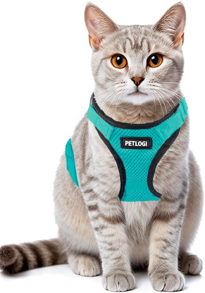 Cat Harness Escape Proof with Leash for Walking, Travel Vest Soft Chest Support, Adjustable Size, Escape Proof Soft Adjustable Vest Harnesses, Breathable, Kittens, Small Dogs (美/背縄/緑1/S)