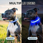 PcEoTllar Light Up Dog Collars, Rechargeable Led Dog Collar with Automatic 7-Color Changes, Water Resistant Lighted Dog Collar for Night Walking with High Visibility, Bright Glow Dog Collar(Blue, M)
