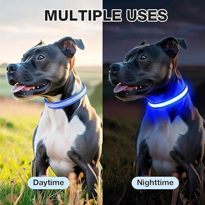PcEoTllar Light Up Dog Collars, Rechargeable Led Dog Collar with Automatic 7-Color Changes, Water Resistant Lighted Dog Collar for Night Walking with High Visibility, Bright Glow Dog Collar(Blue, L)