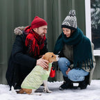 Pet Clothing,Turtleneck Dog Sweater,Sweaters for Dogs Boys and Girls,Pullover Dog Sweaters,Pet Knitted Clothes,Fit for Different Kinds Dogs,for Spring,Autumn and Winter(Green XS)