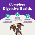 Halo Holistic Vegan Dog Food, Plant-Based Recipe with Kelp, Dry Dog Food, Complete Digestive Health, Kibble for Adult Dogs, 3.5 lb Bag