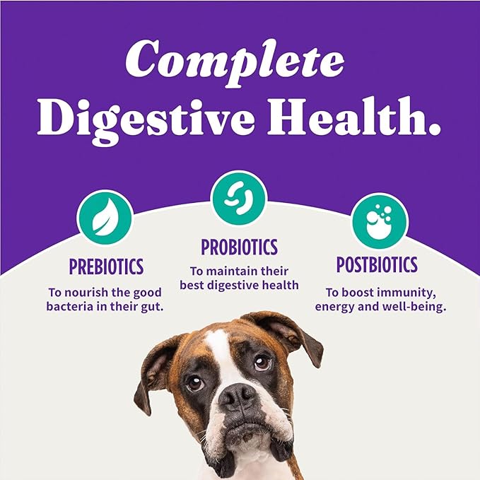 Halo Holistic Vegan Dog Food, Plant-Based Recipe with Kelp, Dry Dog Food, Complete Digestive Health, Kibble for Adult Dogs, 3.5 lb Bag