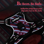 rabbitgoo Dog Harness No Pull with 2 Leash Clips, Adjustable Soft Padded, Reflective Oxford No Choke Pet Vest with Easy Control Handle for Large Dogs, Red Stripe, XS