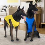 2 Pieces Dog Shirts, Soft and Cool Dog Sleeveless Vest, Breathable Lightweight Pet Tshirt, Summer Pet Apparel Tank Top for Medium Large Pets - Yellow+Blue (2XL)