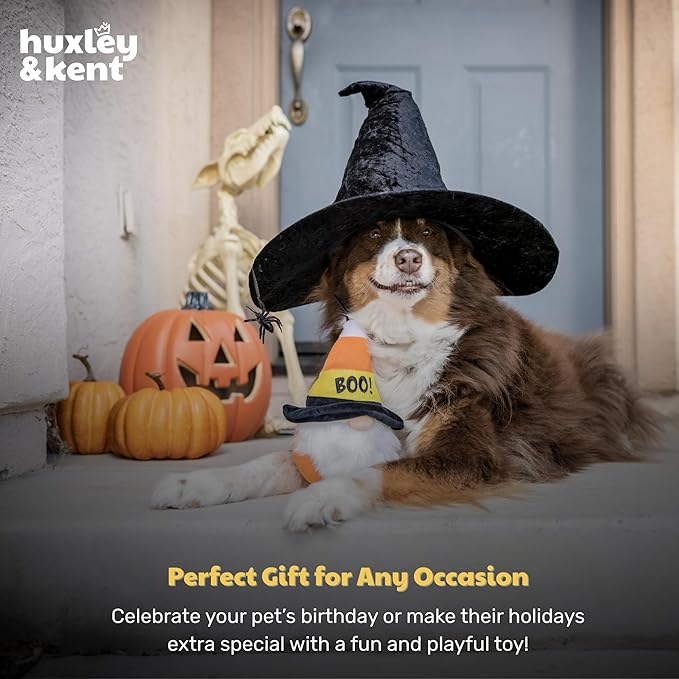 Huxley & Kent Halloween Funny Dog Toy w/Squeaker – Power Plush Squeaky Dog Toys for Small, Medium & Large Dogs – Soft Stuffed Animal for Indoor Play & Fetch - Candy Corn Gnome, One Size