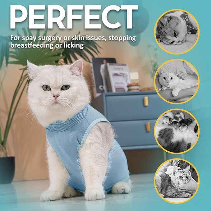 Avont Cat Recovery Suit - Kitten Onesie for Cats After Surgery, Cone of Shame Alternative Surgical Spay Suit for Female Cat, Post-Surgery or Skin Diseases Protection -Blue(M)