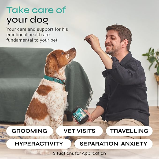 Calming Chews for Dogs Anxiety Relief - Hemp Calming Chews for Dogs with Valerian Root, Hemp Seed Oil, Turmeric, L-Theanine - Soft Treats for Storms, Fireworks, Separation, Vet Visits, Grooming