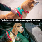 PHOEPET No Pull Dog Harness, Unique Colors Reflective Adjustable Dog Vest, with Soft Training Handle Metal Clips for Small Medium Large Dogs (Dark Green Base & Red Straps,M)