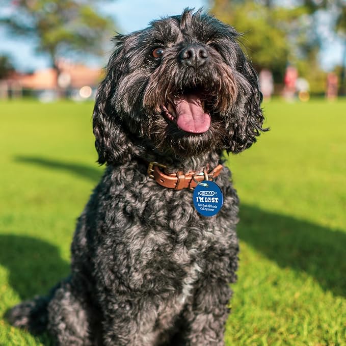 MYLUCKYTAG QR Code Stainless Steel Pet ID Tag - Personalized, Online Profile, Location Alert Email, Digital, Durable - Dog Collar Engraved