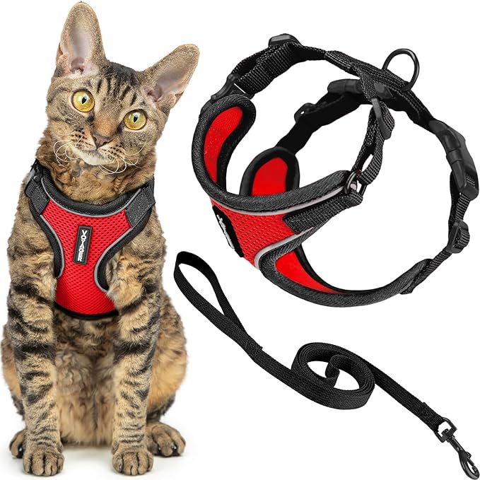 Voyager Escape-Proof Step-in Lock Cat Harness & 5ft Neoprene-Handle Leash Set All-Weather Mesh with Reflective Stitching for Small to Large Cats by Best Pet Supplies, Black Trim-Red (327), XXS