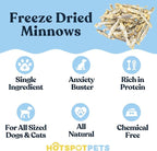 Freeze-Dried Minnows for Cats & Dogs – 100% Natural Single Ingredient Snack – High Protein, Grain-Free, Raw Diet Dog Treats – Omega-3 Fish – No Additives or Preservatives Minnows for Cats (4 Ounce)