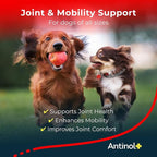 Antinol Plus, Mobility, Hip, and Joint Supplement for Dogs, Green-Lipped Mussels and Krill Oil - Dog Joint Supplement, Better and Faster Than Glucosamine and Chondroitin, 90 Soft Gels