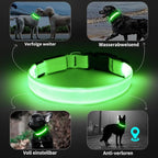 Led Dog Collar - Adjustable, Rechargeable, Waterproof, Glows in Dark for Medium Large Dogs