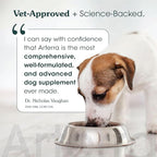 Adult Dog Powder Supplement & Food Topper – 46 Ingredients for Gut, Immune & Brain Health – Daily Longevity Multivitamin for Whole Body Wellness | 60 Scoops