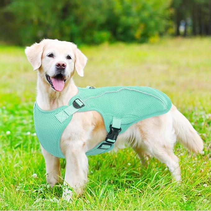 Kuoser Dog Cooling Vest for Large Dogs, Lightweight Doggie Cooler Jacket Breathable Mesh Pet Cooling Shirts Reflective Puppy Cool Harness for Beach, Hiking, Walking Green XL