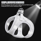 GAMUDA Small Pet Harness Collar and Leash Set, Step in No Chock No Pull Linen Fabric Soft Mesh Dog Vest Harnesses Reflective for Dogs Puppy Cats Kitten Rabbit (White, M)