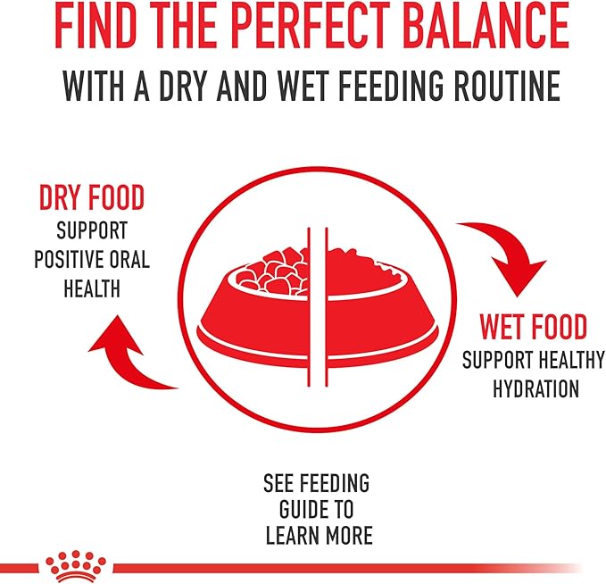 Royal Canin Feline Health Nutrition Dry Kitten Food, Supports Digestive Health, Immune Support and Healthy Energy, 14 lb Bag