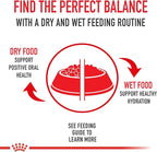 Royal Canin Feline Health Nutrition Dry Kitten Food, Supports Digestive Health, Immune Support and Healthy Energy, 3 lb Bag