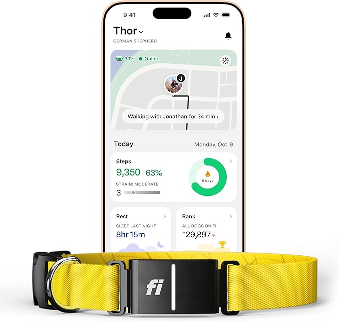 Fi Series 3+ Smart Dog Collar - GPS Dog Tracker and Activity & Fitness Monitor, Waterproof, LED Light, Escape Alerts, Nationwide Coverage [Free 6 Month Membership] (Yellow, Large)