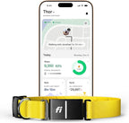 Fi Series 3+ Smart Dog Collar - GPS Dog Tracker and Activity & Fitness Monitor, Waterproof, LED Light, Escape Alerts, Nationwide Coverage [Free 6 Month Membership] (Yellow, Large)