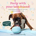 WOOF Party Pupsicle - Long-Lasting Interactive Dog Toys for Boredom - Low-Mess Design - Birthday Gifts for Dogs - XL Dog Toys - Buddy Blue