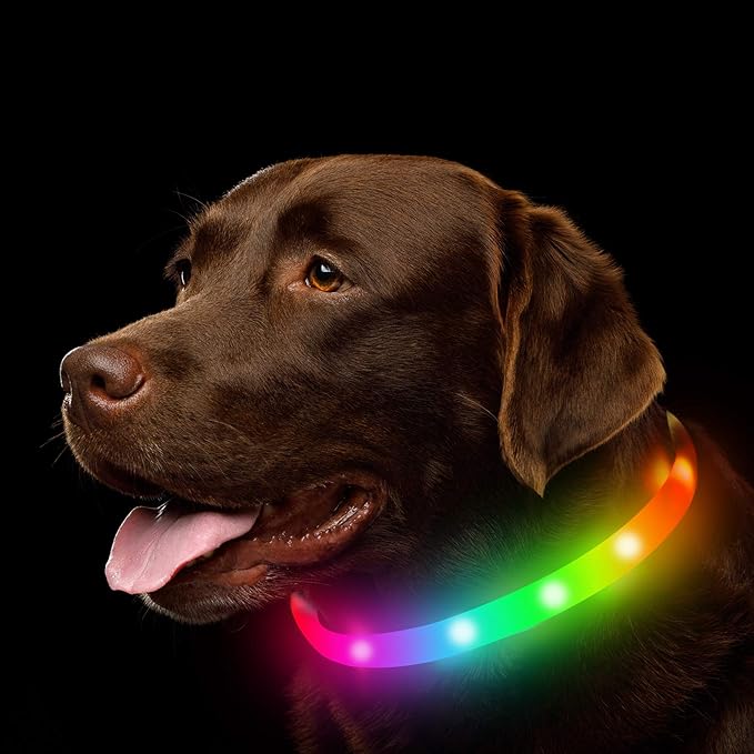 LED Dog Collar, Rechargeable RGB Color Changing Light Up Dog Collars, Waterproof Dog Lights Make Pet Visible and Safety for Night Walking，Outdoor, Camping, for Small Medium Large Dogs