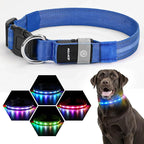 LED Dog Collar, Light Up Dog Collar, USB Rechargeable - Brightest Dog Lights for Night Walking, 6 Light Modes, Adjustable for Dog Safety(Large, Royal Blue)