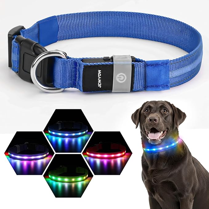 LED Dog Collar, Light Up Dog Collar, USB Rechargeable - Brightest Dog Lights for Night Walking, 6 Light Modes, Adjustable for Dog Safety(Medium, Royal Blue)