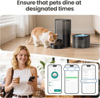 Automatic Cat Feeder and Water Fountain 5G WiFi Cat Food Dispensers, APP Remote Control, Programmable Timed Feeding,Dry Food Smart Feeder 10s Voice Recorder, 1-10 Meals/Day for Cats Small Dogs