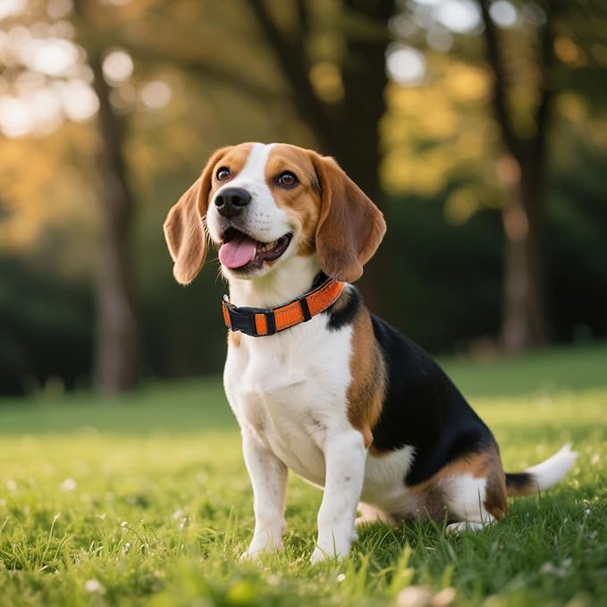 Reflective Dog Collar, Soft Neoprene Padded Nylon Pet Collar with Quick-Release Buckle, Adjustable for Mediunm Dogs,Orange,M, 1" Width