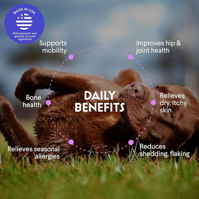 Premium Salmon Oil for Dogs – Pure Norwegian Salmon Oil High in Omega 3 EPA & DHA -Powerful Fish Oil for Dogs Skin & Coat, Hip & Joints, Allergies & Itchy Skin – Omega 3 Fish Oil for Dogs-32oz Liquid