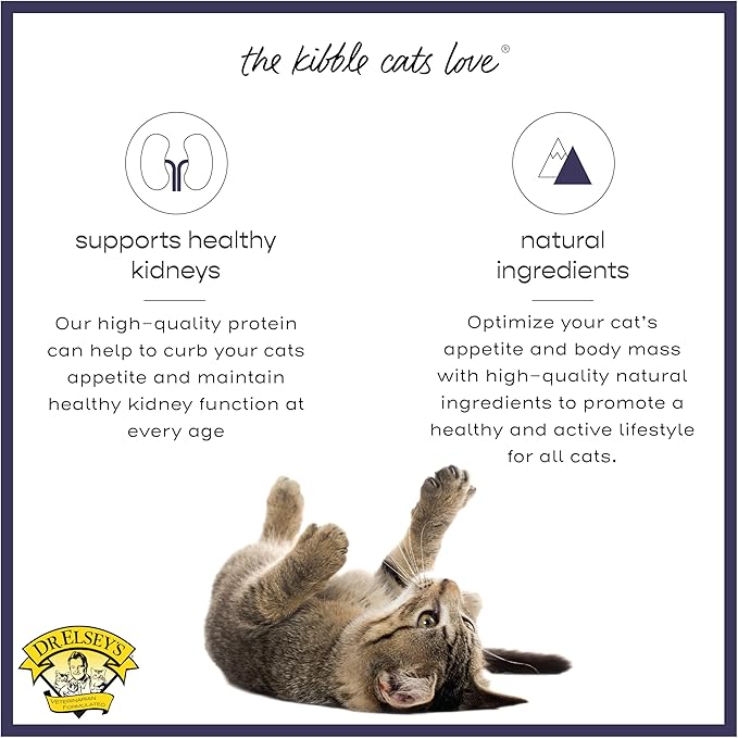 Dr. Elsey's cleanprotein Chicken Cat Kibble 6.6 lb. Bag