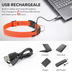 Illumifun USB Rechargeable LED Dog Collar, Light Up Dog Collar for Small Dogs, Reflective Adjustable Safety Dog Collar Lights for Night Walking (OrangeⅢ, Small)