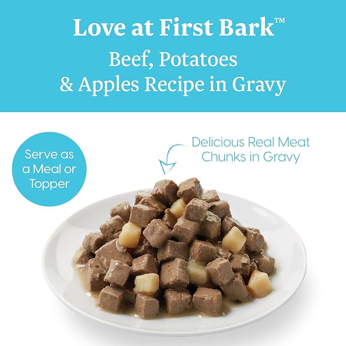 Solid Gold Wet Dog Food for Adult & Senior Dogs - Made with Real Chicken & Salmon - Leaping Waters Grain Free Canned Dog Food for Healthy Digestion & Sensitive Stomach